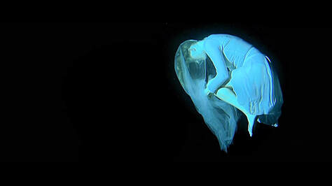 Still from and link to 'Watermorphosis'.